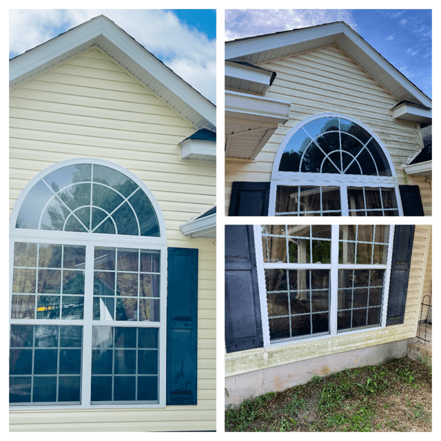 Heavy Organic Accumulation on Home Siding in Warrenville, SC