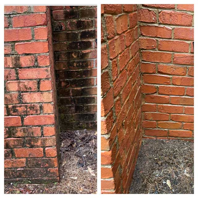 Heavy Mold, Mildew, and Moss on Concrete and Brick in Martinez, GA